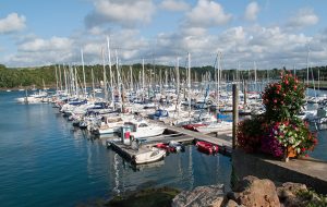 Marina with boats with engine