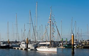 Yacht mooring on a river inbetween piles