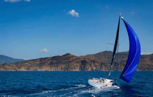 A yacht with a blue sail sailing