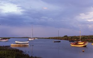 Off the tidal creeks there is much to discover