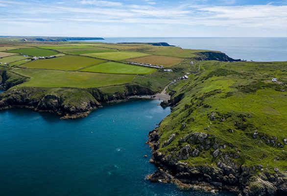 Martin's Haven in Pembrokeshire