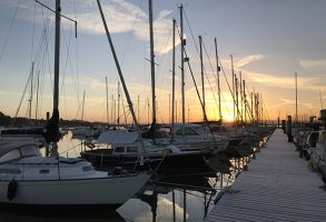 Boats moored at day break at a marina