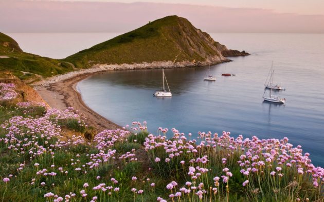 Worbarrow_Bay_Alamy_F238WY