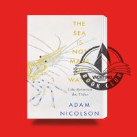 The Sea is not made of water book jacket