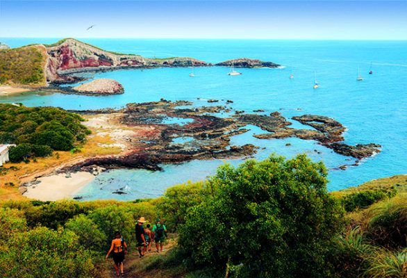 One of the delights of sailing Mexico - A national park, Isla Isabel, 15 miles off the west coast of Mexico, is a major breeding area for frigate birds, brown and blue-footed boobies