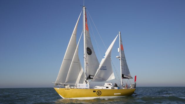 A biscay 36 with a gold hull being sailed offshore with white sails