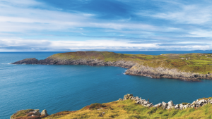 A view of South Harbour on Cape Clear, which has green fields and rocky coastline; a sight if you are sailing Ireland