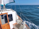 Give yourself time for dolphin watching