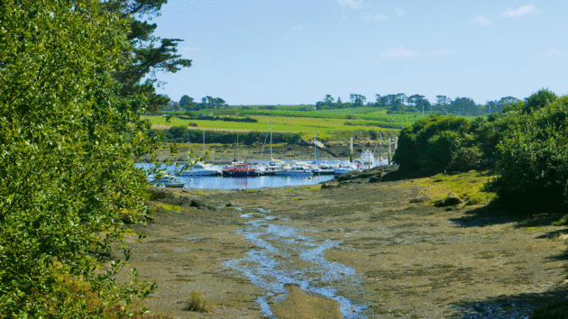 The pontoons in Aber Ildut stay afloat even at low tide 