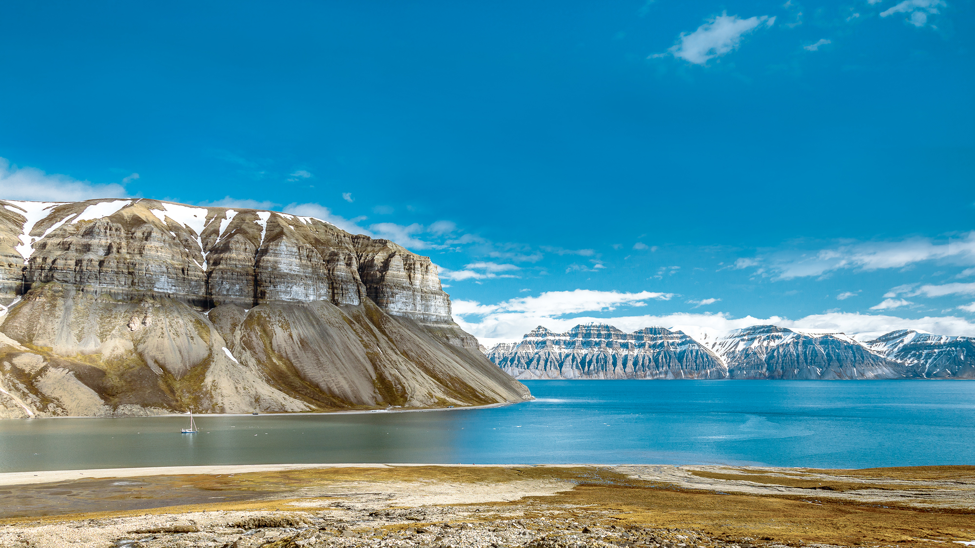 Environmental journalism award winner! The sailors working to save Britain’s seagrass meadows