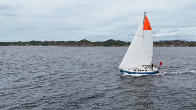 Daniel Alfredsson, Golden Globe Race, Pale Blue Dot