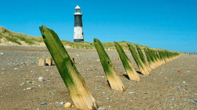 The beach is creeping ever closer to the
famous lighthouse at
Kingston Upon Hull 