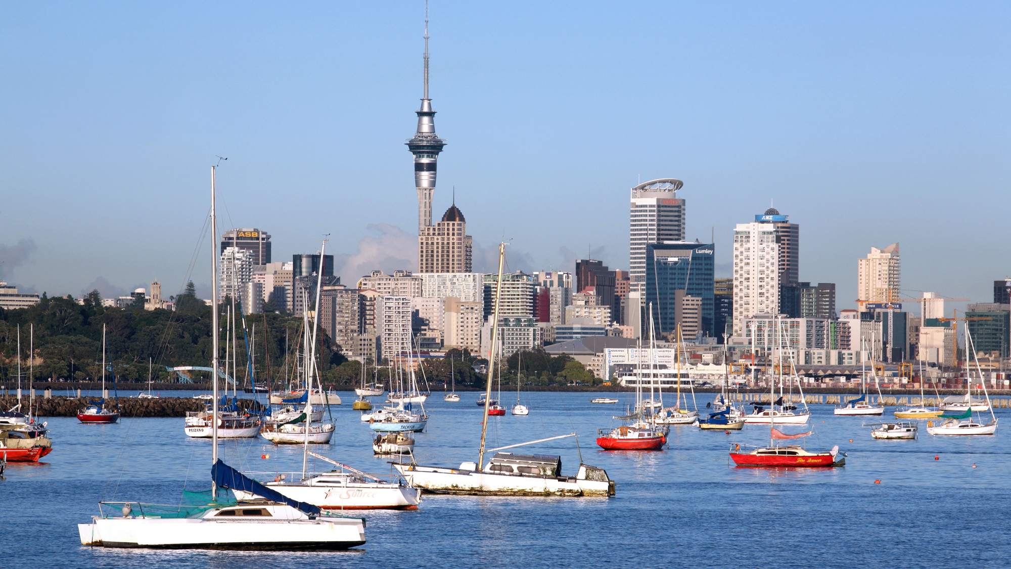 Zoonie Sails Home: A phlegmatic odyssey