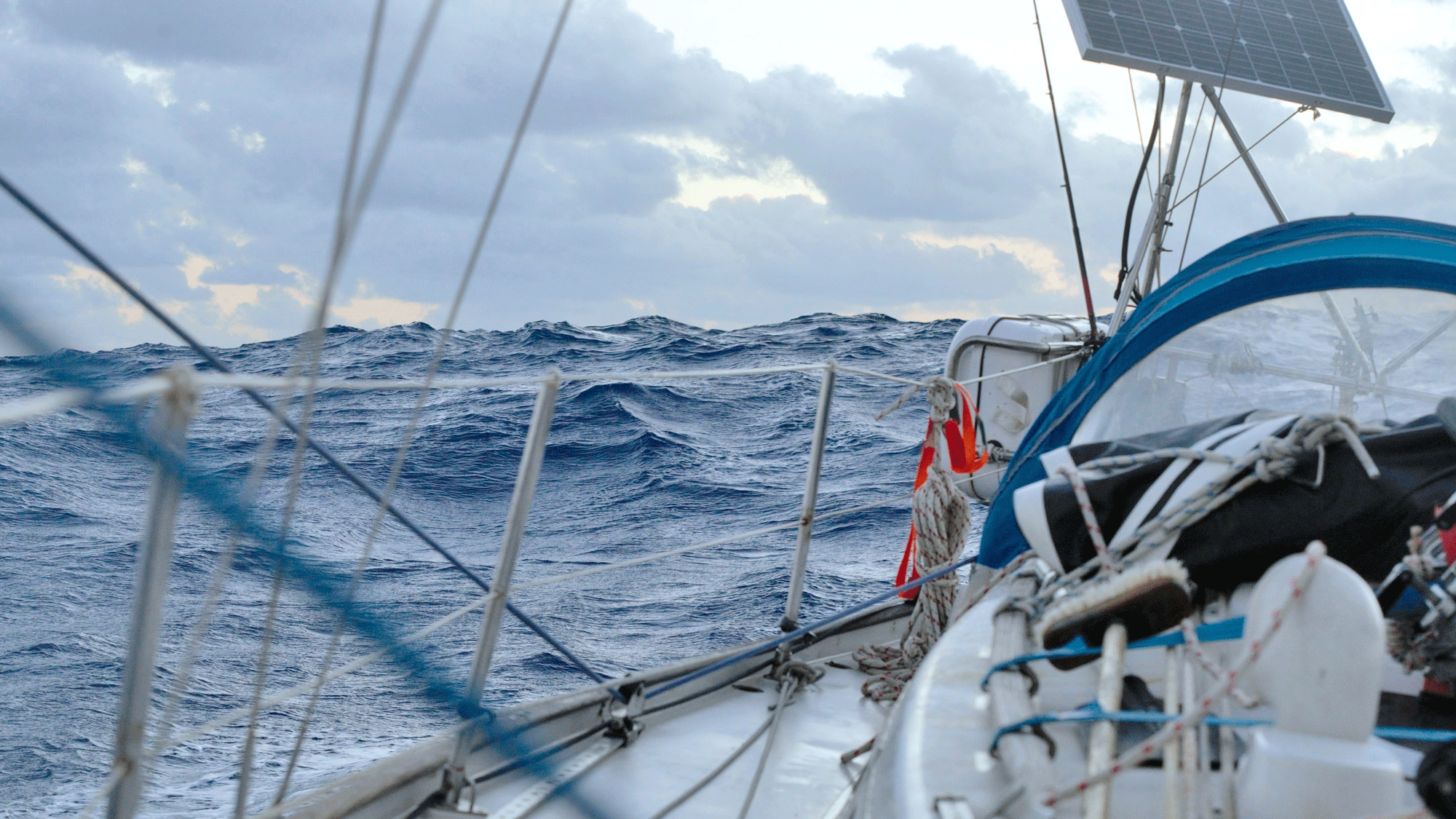 6 ways seamanship protects our seas: ‘it is estimated that 30-50% of coral reefs have already been lost’