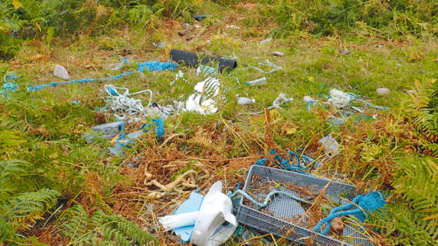 Litter on a high tide mark