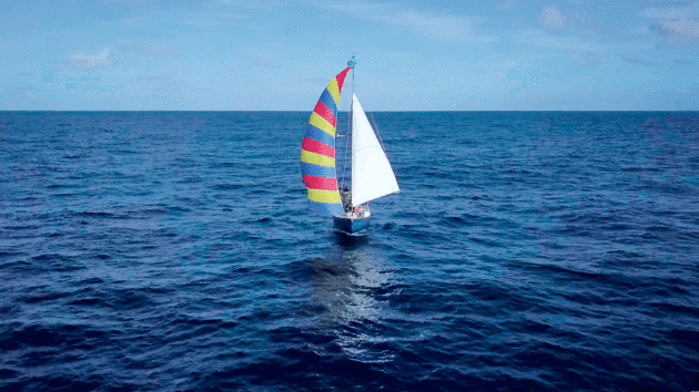 A sailing boat in the water