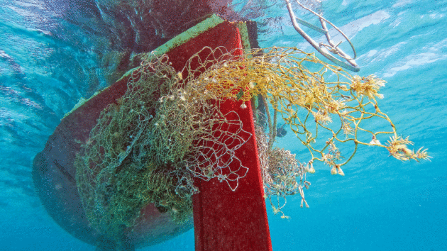A prop entanglement