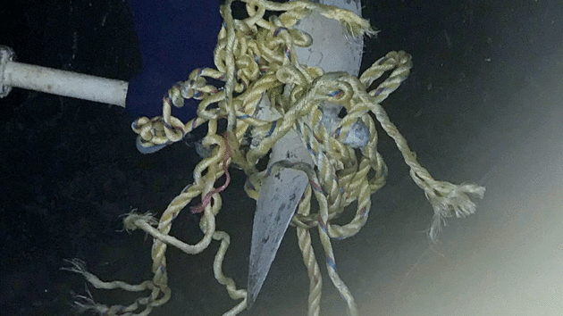 Cheap polypropylene rope