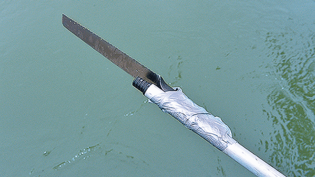 A sturdy serrated knife