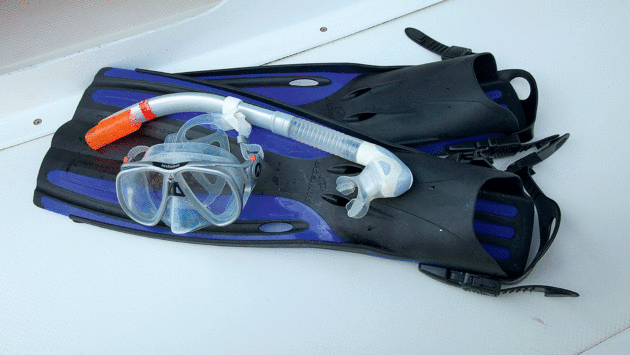 snorkel and fins
