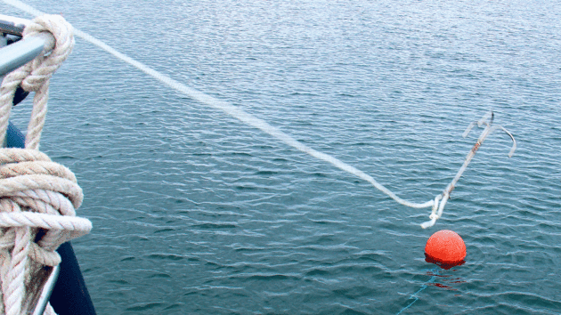 Using a grappling hook