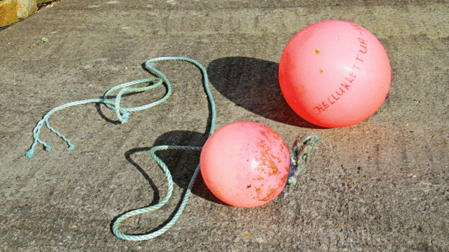 2 buoys