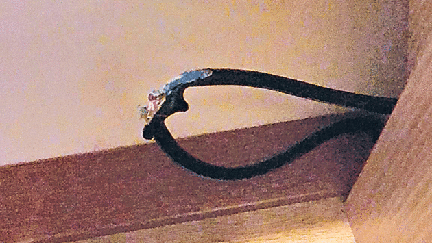 Chewed-through cable