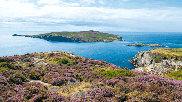 The Calf of Man, the small island southwest off the Isle of Man
