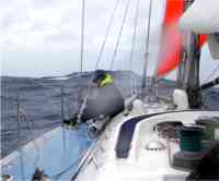 Spirit of Juno during last year's ARC