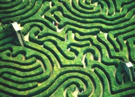 Maze