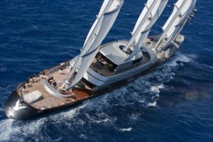Maltese Falcon
