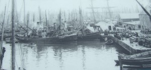 Herring fleet Lerwick