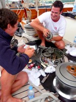 Adela's Bosun, Ollie