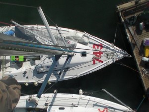 Pip Hare's Mini Diary