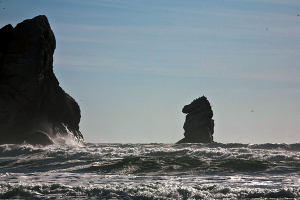 Rock
