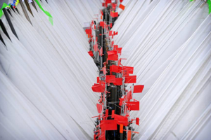 largest sailing regatta