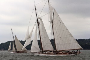 YW WW12_IMG_6747.jpg