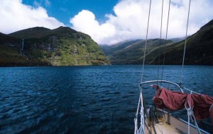 Auckland Islands