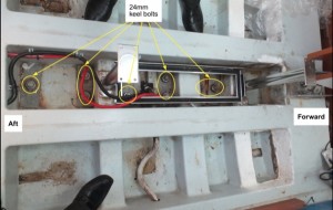 CheekiRafiki_Fig10_Pg21