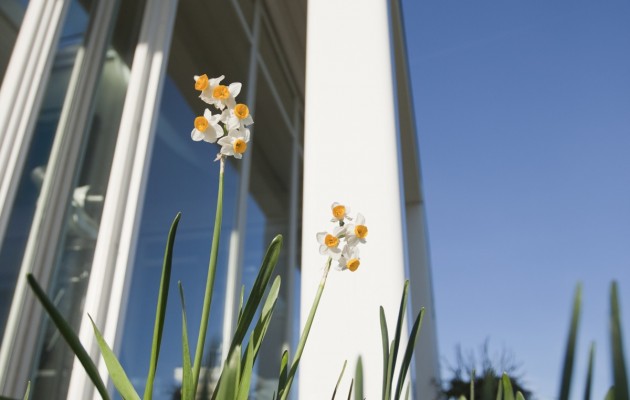 Royal Yacht Squadron