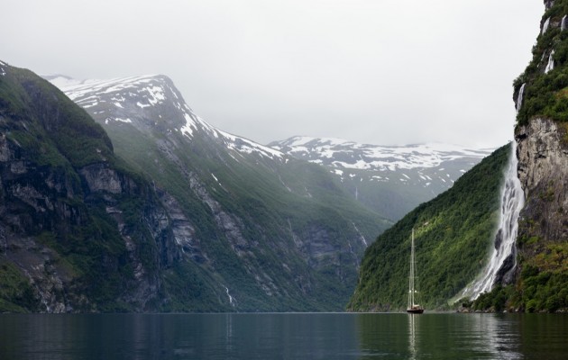 Wisp-cory silken_2014-06-12-0149