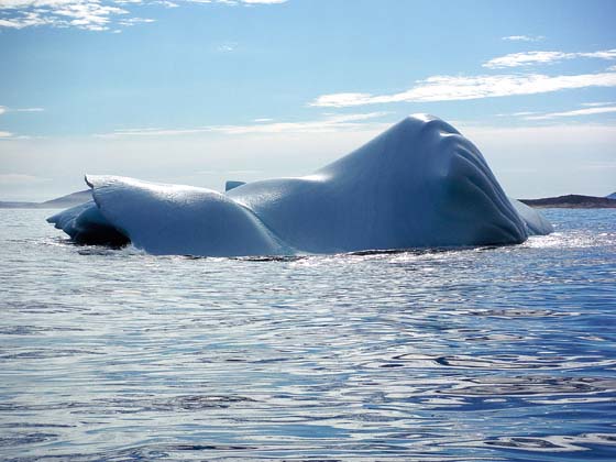 Labrador iceberg