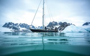 sailing-svalbard-isbjorn