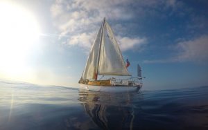 solo-sailing-across-the-atlantic-calm-sailing-credit-max-campbell