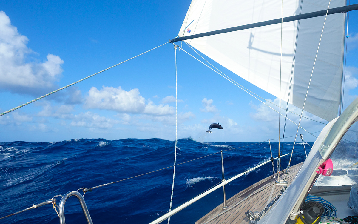Sail boat card let drama set sail