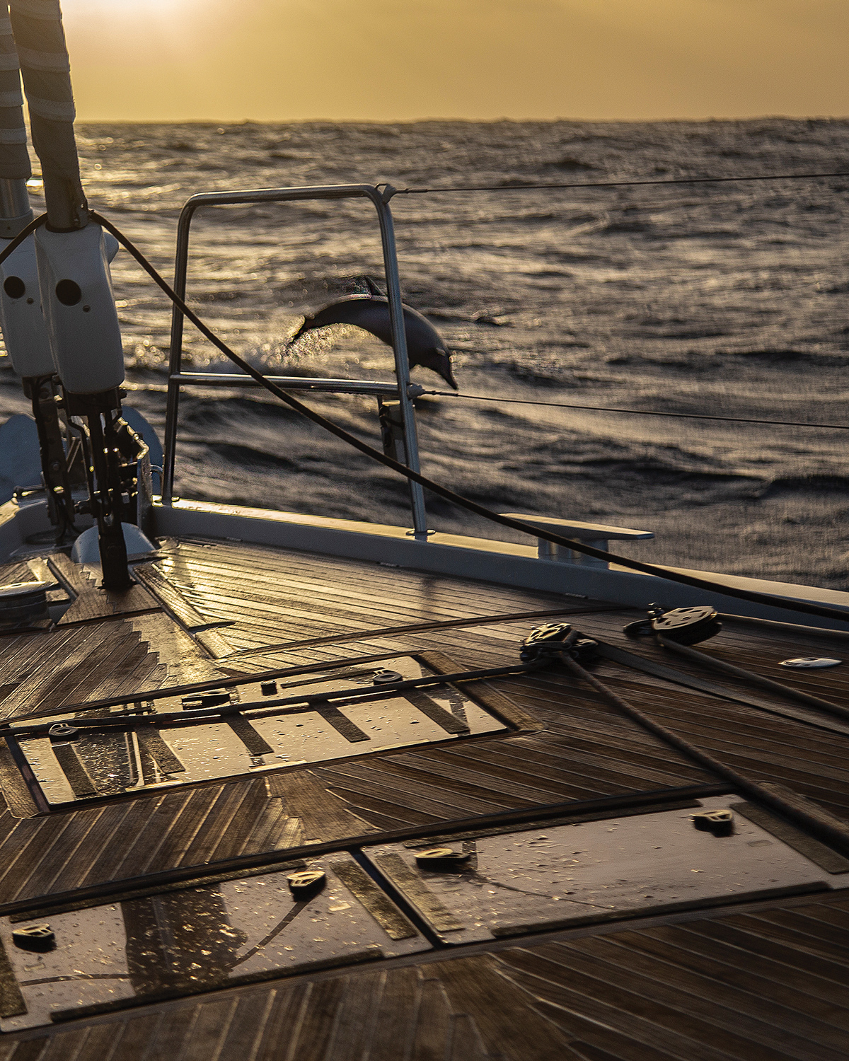 Catamaran sailing across the Atlantic Why multihulls are taking over