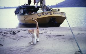 australia-the-hard-way-david-pyle-book-drascombe-lugger-hermes-beach-cat