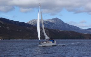 humpback-whale-sailing-encounter-Orca-bow-running-shot