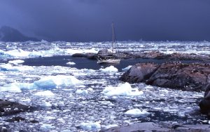 jimmy-cornell-aluminium-centreboard-yachts-ovni-43-aventura-iii-antarctica