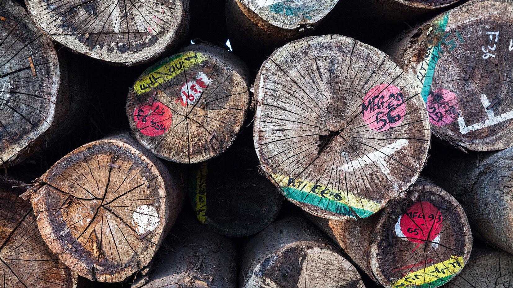 The Grave Human Cost Of Teak Wood And Alternatives Yachting World